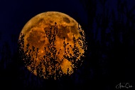  S - Full Moon