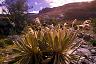 09_-freilejones_-_kolumbia_2013