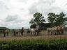 18-stadnina_koni_w_argentynie