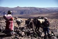 w_drodze_do_strumienia.jpg