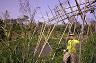 03-bambusowy_most_robil_niesamowite_wrazenie
