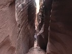 134-Wire Canyon