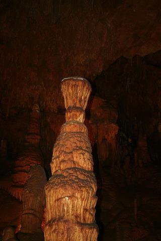 51-ciagle_rosne.jpg