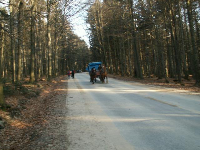 04-droga_od_szklanej_hutu_do_sw_krzyza.jpg