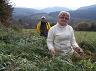 20-buszujemy_w_trawie_-_autorzy_zdjec-danuta_i_jurek