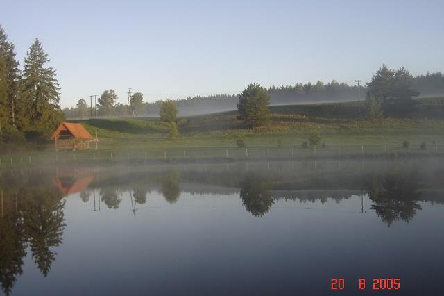 51-poranek_nad_stawem.jpg