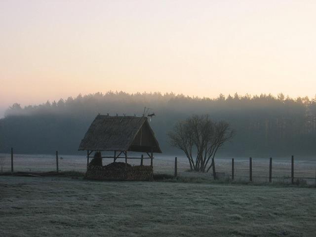 78-pierwsze_przymrozki_na_lakach_w_guzowym_mlynie.jpg