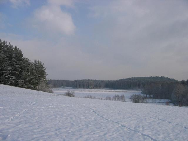 80-okolice_guzowego_mlyna_-_listopad_2011.jpg