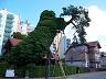 22-miedzyzdroje-ciekawe_podparte_drzewo