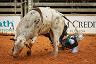 27-_arcadia_rodeo_-_fl