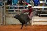 28-_arcadia_rodeo_-_fl