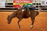 6-_arcadia_rodeo_-_fl