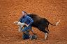 8-_arcadia_rodeo_-_fl
