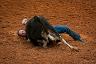 9-_arcadia_rodeo_-_fl