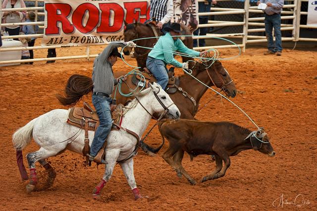 11-_arcadia_rodeo_-_fl.jpg