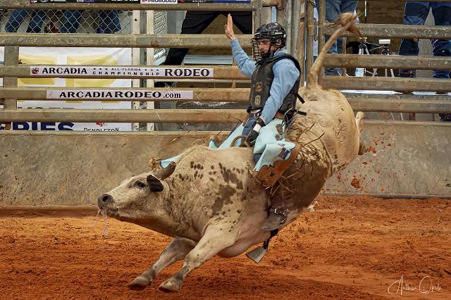 21-_arcadia_rodeo_-_fl.jpg