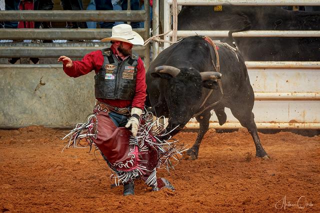 30-_arcadia_rodeo_-_fl.jpg