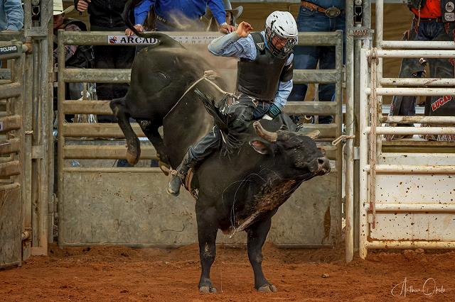32-_arcadia_rodeo_-_fl.jpg