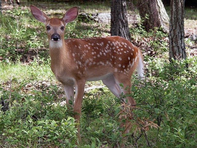 07-a_to_moja_starsza_kolezanka.jpg