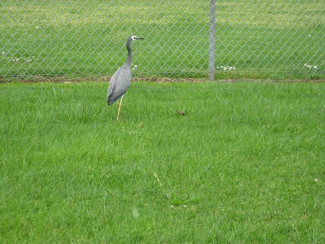 img_3007.jpg