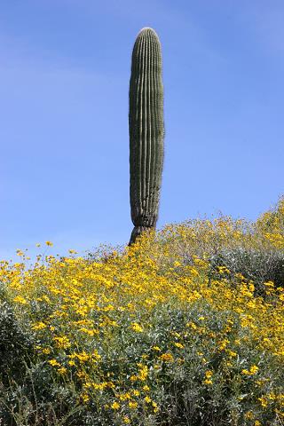 img_2545.jpg