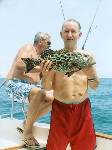 26-yellowfin_grouper-22_incze_-_4_funty.jpg