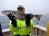 22-tadeusz_i_jego_25_inch-63.5_cm-haddock