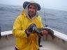 23-tomek_z_wolffish-22_inch-56_cm-_konrada