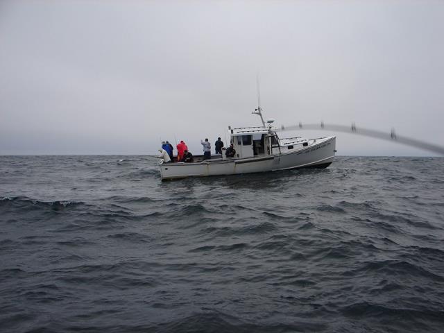 09-konkurenci.jpg