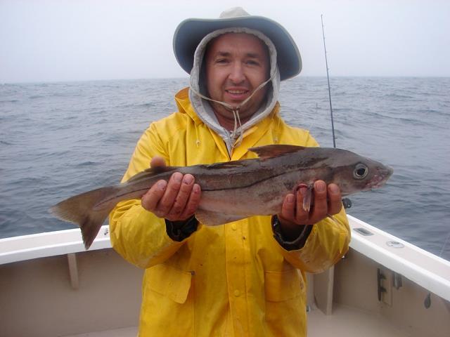 24-tomek_i_jego_23_inch-58.5_cm-haddock.jpg