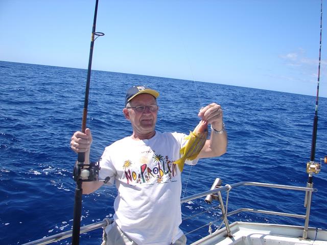 16-bluestriper_snapper-z_powrotem_wraca_do_wody.jpg