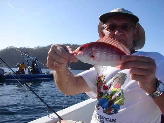 37-maly_red_snapper_i_jozek.jpg