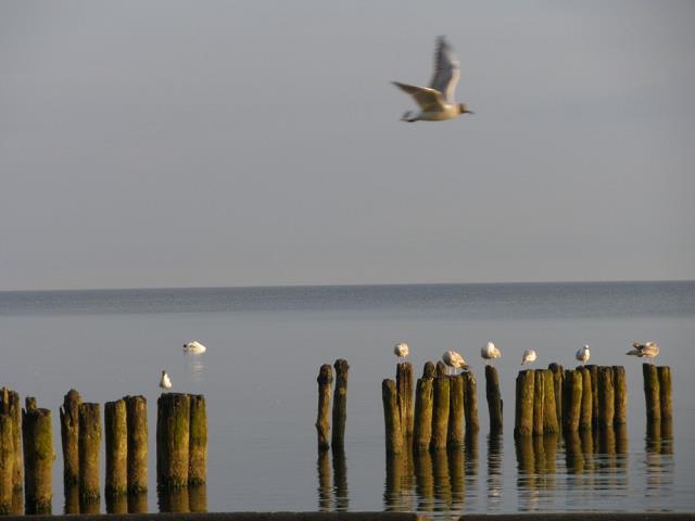 08-samotny_lot.jpg
