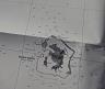 01-mapa_wyspy_-_bora-bora
