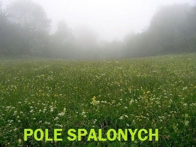 Pole spalonych