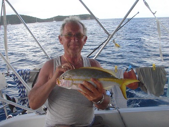 Autor i Yellowtail snapper